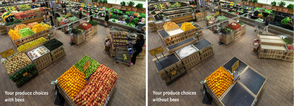 A grocery store shows the produce department with and without foods pollinated by bees.