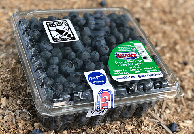 bee-better-certified-blueberries-california-giant-berry-farms