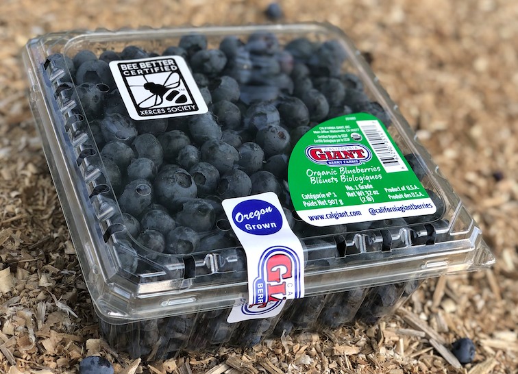 Rainier Organic Jumbo Blueberries