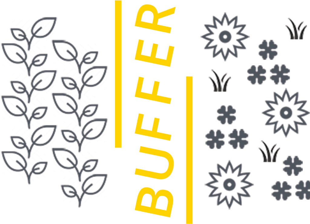 Graphic depicting spatial buffer between crop rows and habitat