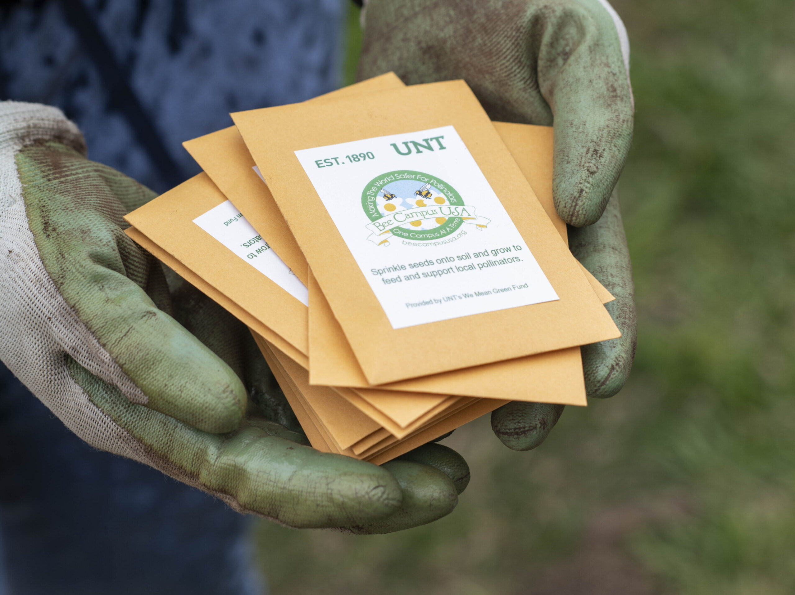 Two hands holding a pile of seed packets with a Bee City/Campus label