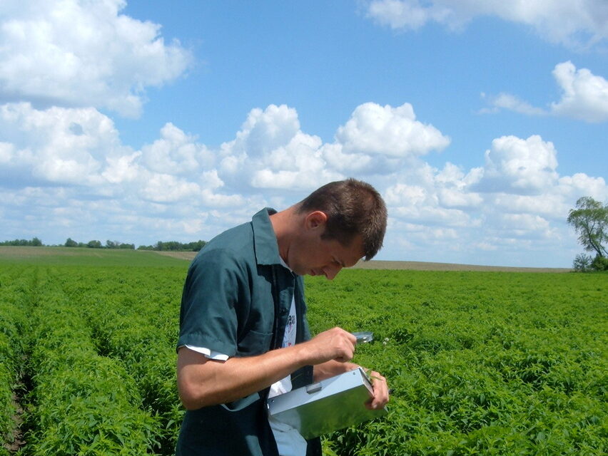A person standing in a crop field using a hand lens to scout for insects