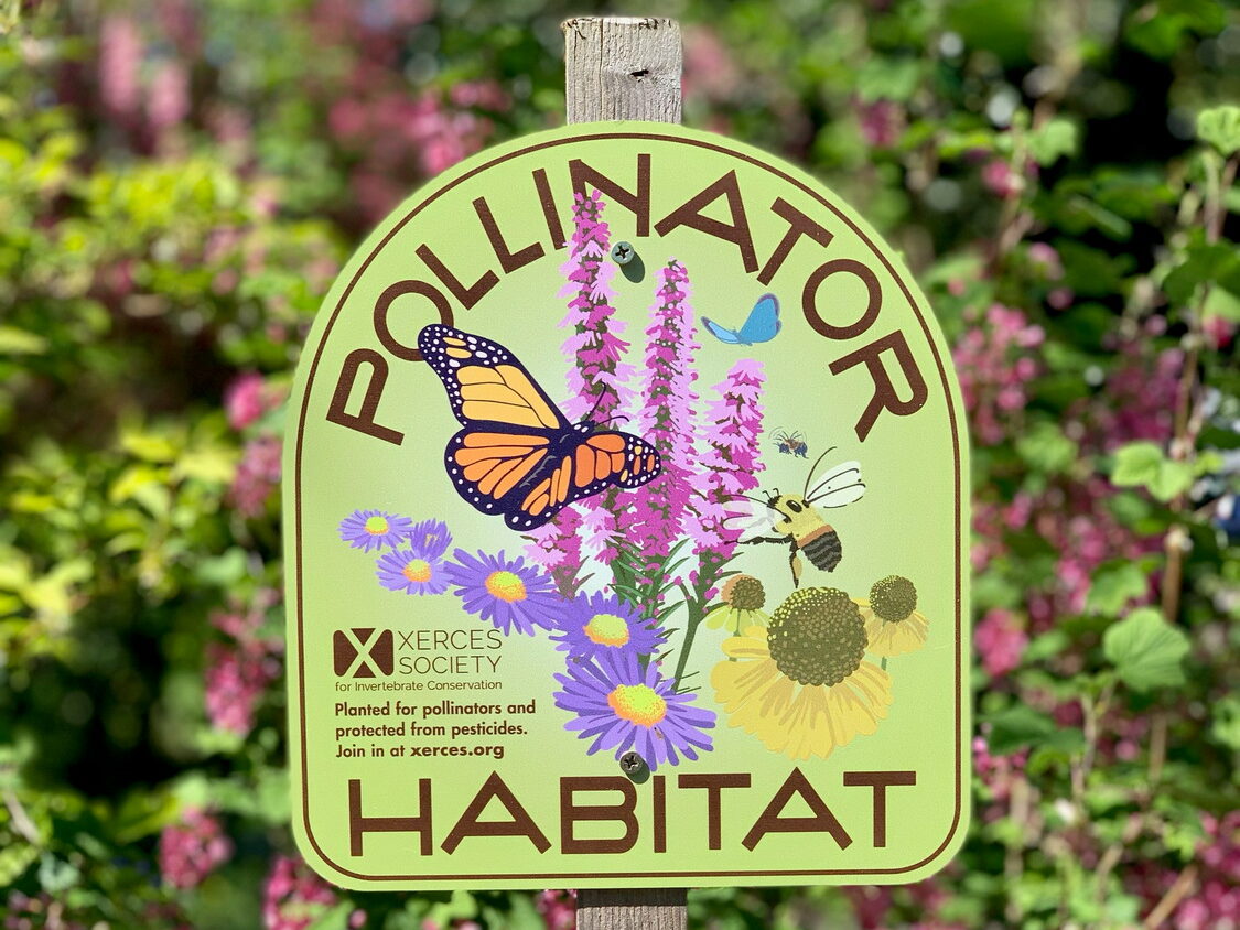 A Xerces Society pollinator habitat sign