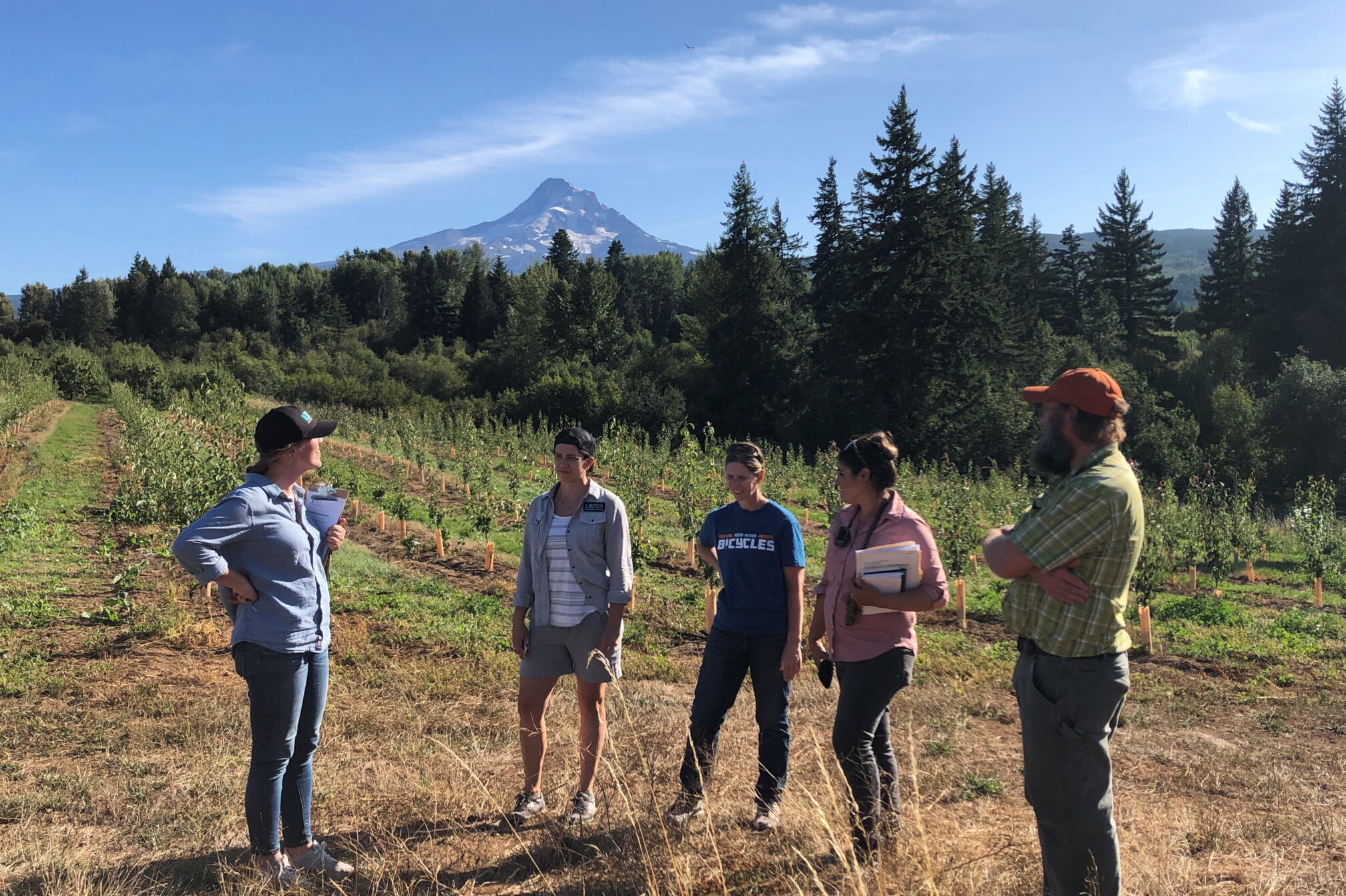 Conservation staff and farmers standing in the field talking to one another with an orchard in the background